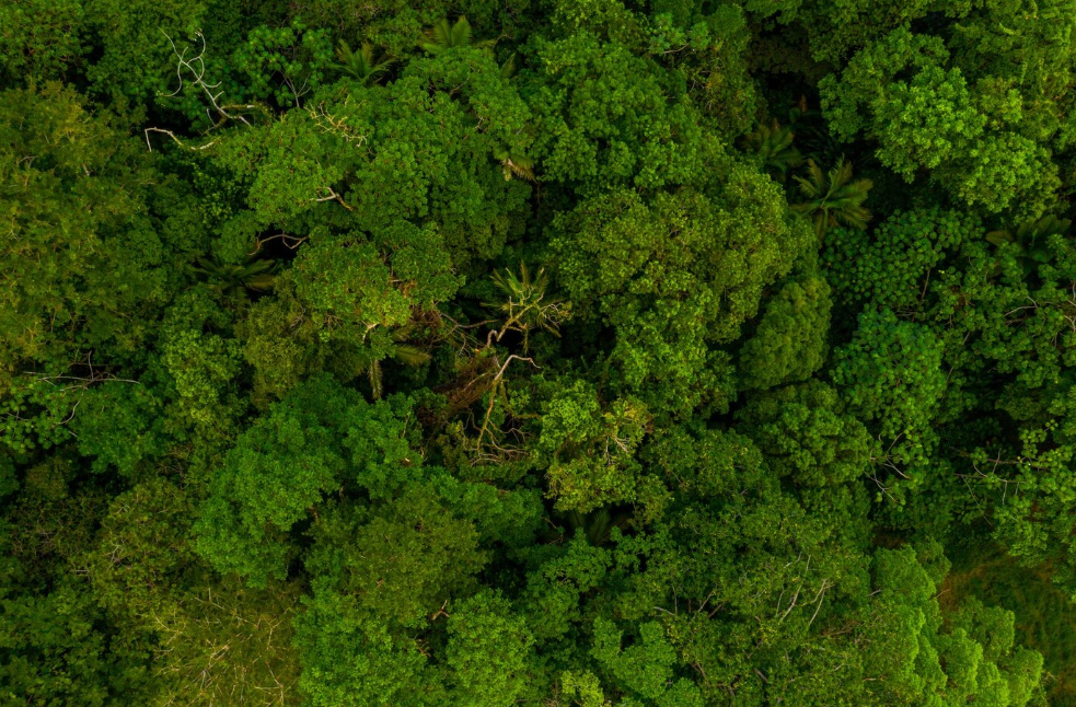 Un guide méthodologique du Cerema: La nature source de biodiversité dans les territoires - De l’outil à la stratégie